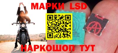 бошки Новодвинск