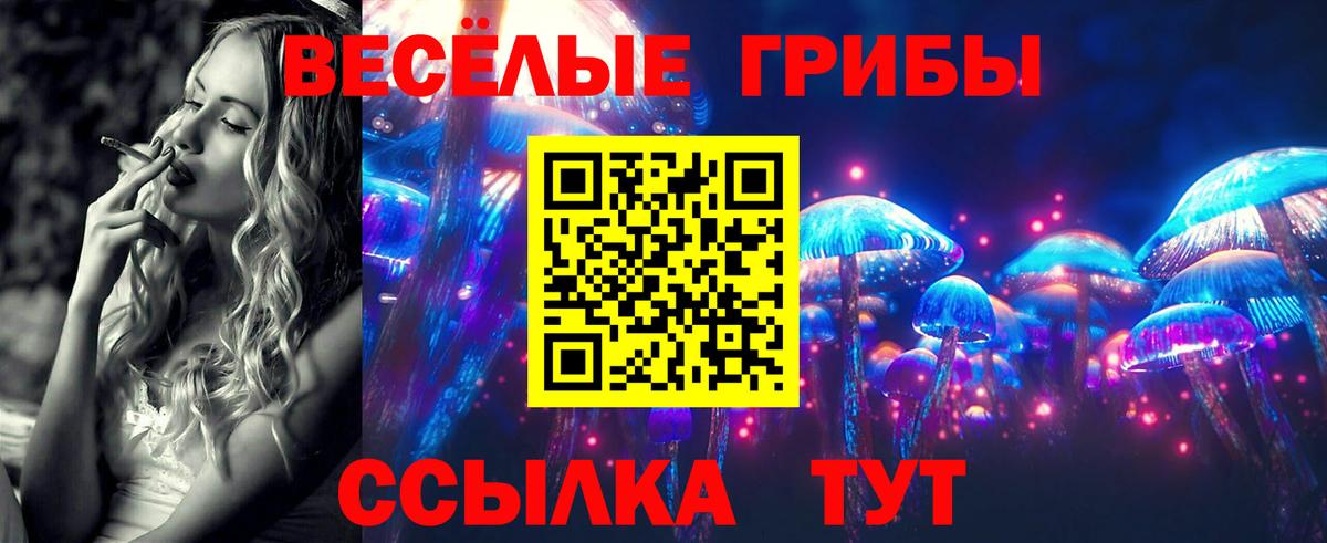 Псилоцибиновые грибы GOLDEN TEACHER Волхов