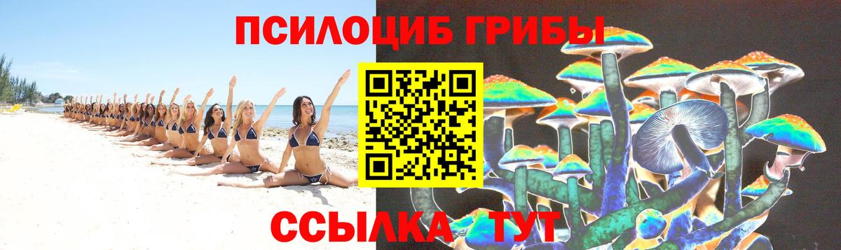 Волхов  Галлюциногенные грибы Psilocybine cubensis  Вход с VPN 